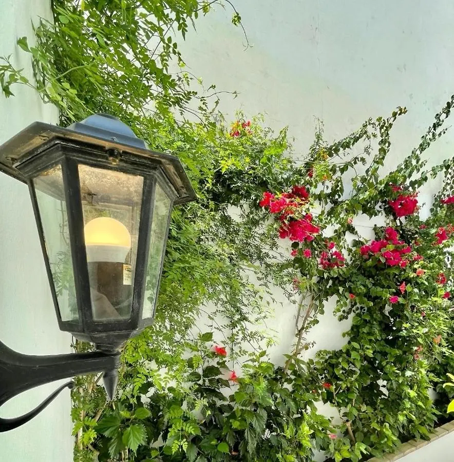 Gatu Premium Apartamento Palacio Oneto Con Jardin Privado 